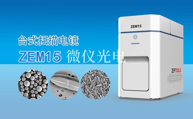 SEM掃描電鏡能觀察花粉嗎？從原理到實踐的全面解析